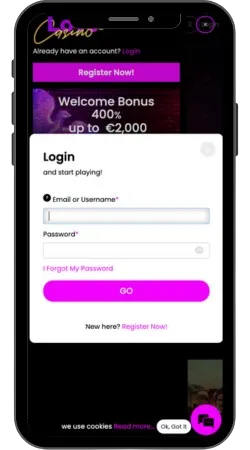 Login Interface